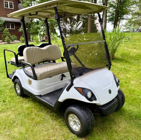 2013 Yamaha G29